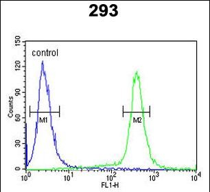 4 - ESPN Antibody (N-term) AP6876a