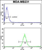 4 - SKIV2L2 Antibody (Center) AP8739c