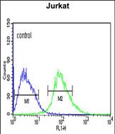 4 - CANT1 Antibody (N-term) AP8822a