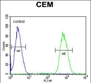 4 - GAL3ST1 Antibody (Center) AP8884c