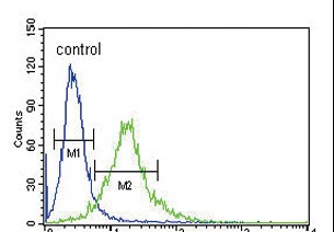 4 - Ku70 Antibody (Center) AP6775c