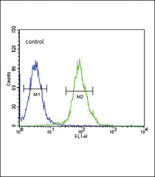 4 - TPH2 Antibody (Center) AP9177C