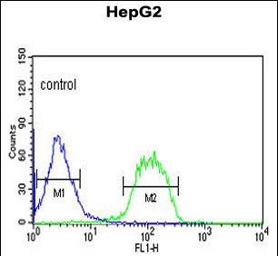 4 - FBXO3 Antibody (C-term) AP9195b