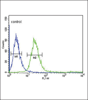 4 - FCGR1B Antibody (C-term) AP9197B