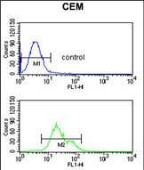 4 - S39A8 Antibody (Center) AP9359c