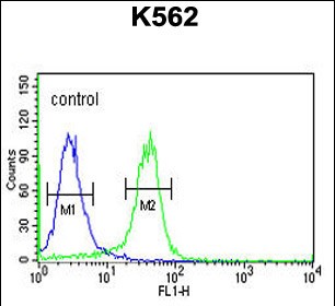 4 - JMJD2B Antibody (N-term) AP9393A