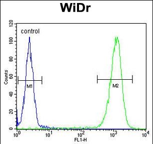 4 - TSPAN33 Antibody (C-term) AP9397B