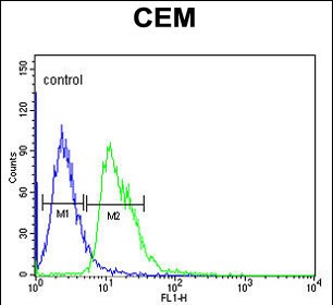 4 - DIAPH2 Antibody (Center) AP9407c