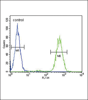 4 - SLC25A37 Antibody (C-term) AP9715b