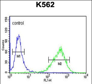 4 - UPK1B Antibody (Center) AP9725c