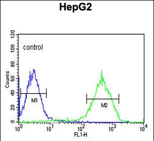 4 - NDUFA10 Antibody (Center) AP9768c