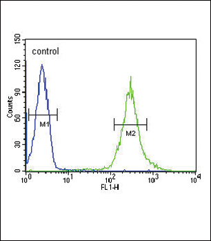4 - ST8SIA4 Antibody (Center) AP9771C