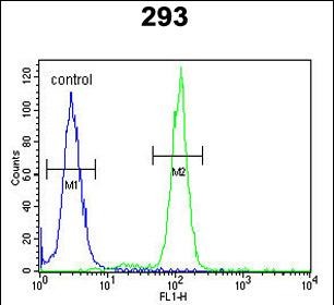 4 - OST alpha Antibody (C-term) AP9838b