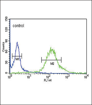4 - GTSE1 Antibody (C-term) AP9882B