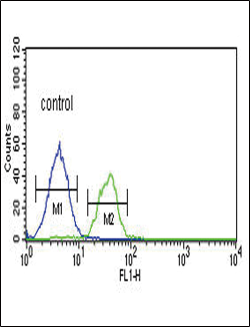 4 - LRRN3 Antibody (N-term) AP4916A