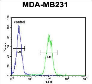 4 - AP1S1 Antibody (N-Term) AP5009a