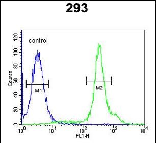 4 - HEL308 Antibody (Center) AP5124c