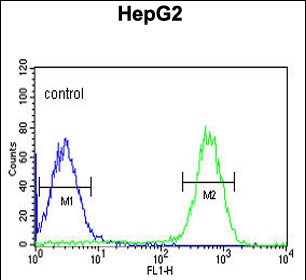 4 - TESC Antibody (C-term) AP5136b