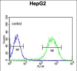 4 - MMD Antibody (N-term) AP5167a