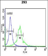 4 - SPHK1 Antibody (C-term R414) AP7237B