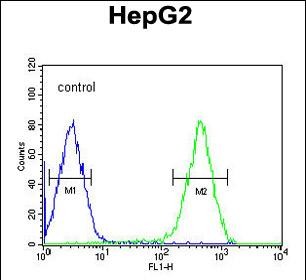 4 - ATXN2L Antibody (C-term) AP5183b
