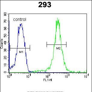 4 - UBAC2 Antibody  (N-term) AP5292a