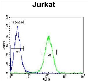 4 - UTP6 Antibody (N-term) AP5296a