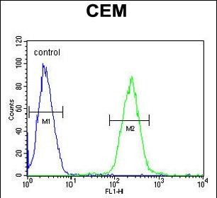 4 - STAMBPL1 Antibody (Center) AP5326C