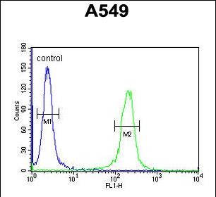 4 - C14orf179 Antibody (Center) AP5370c
