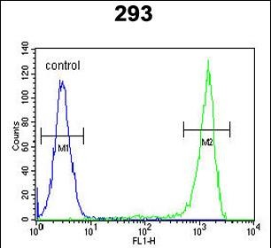 4 - FLJ11506 Antibody (C-term) AP5483b