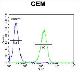 4 - FAM105B Antibody (Center) AP5734c