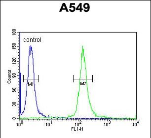 4 - KCNK7 Antibody (C-term) AP5801b