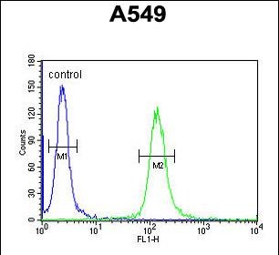 4 - LOH12CR1 Antibody (C-term) AP5806B