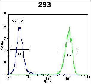 4 - TMEM40 Antibody (N-term) AP5813a