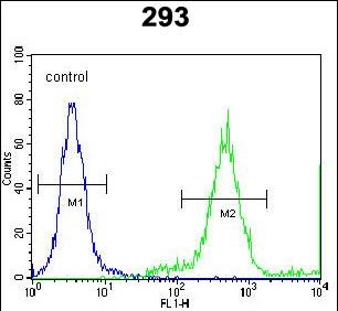 4 - FAM26E Antibody (C-term) AP5814B