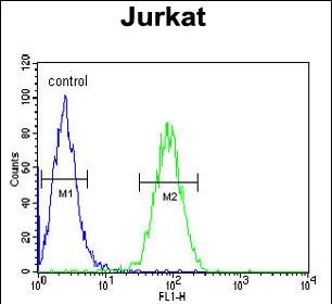4 - CLDN22 Antibody (Center) AP10232c