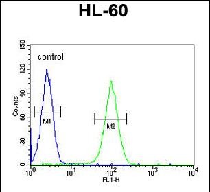 4 - LNPEP Antibody (N-Term) AP10272a