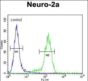 4 - VWA3B Antibody (C-term) AP10305b