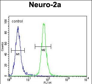 4 - TMEM65 Antibody (N-term) AP10360a