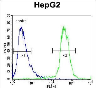 4 - ATP13A3 Antibody (N-term) AP5938a
