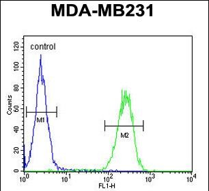 4 - PRSS3 Antibody (N-term) AP10489a