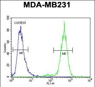 4 - TTC16 Antibody (N-term) AP10559a