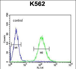 4 - TEX9 Antibody (N-term) AP10612a