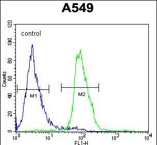 4 - WDR32 Antibody (N-term) AP10636b