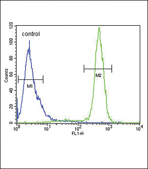 4 - SCN1B Antibody (N-Term) AP10645A