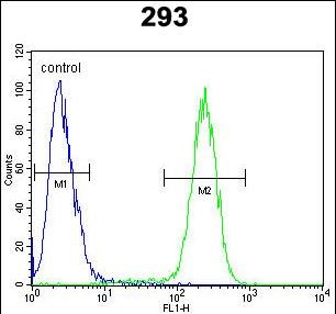 4 - TMEM66 Antibody (N-term) AP10746a
