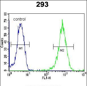4 - LARP6 Antibody  (N-term) AP10830A