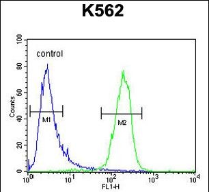 4 - MCART2 Antibody (N-term) AP10890a