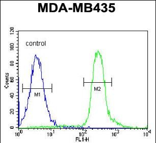 4 - VPS52 Antibody (C-term) AP10925b