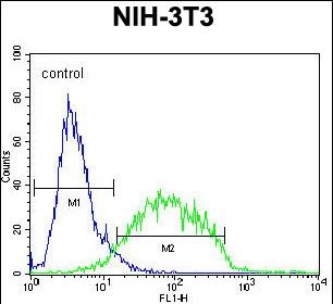 4 - GCNT3 Antibody (C-term) AP10975b